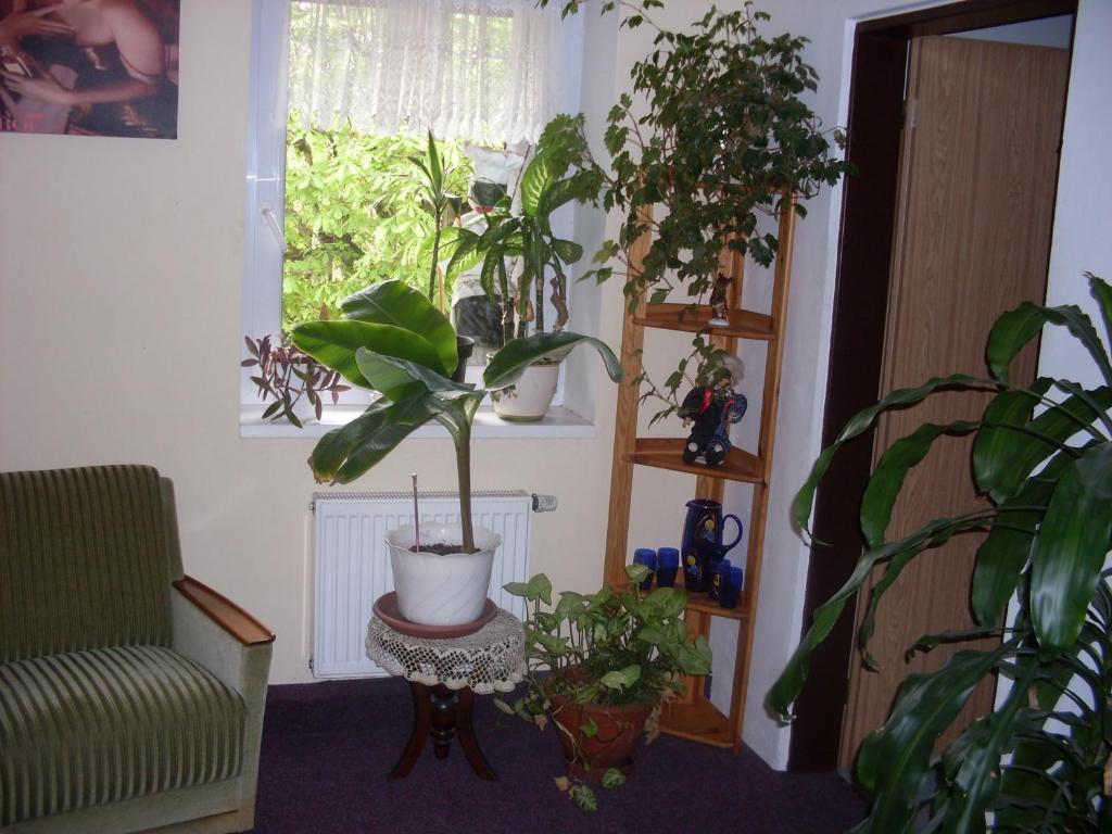 Pension U Kastanu Karlovy Vary Chambre photo
