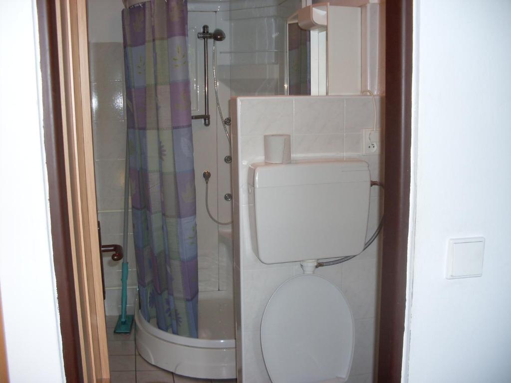 Pension U Kastanu Karlovy Vary Chambre photo